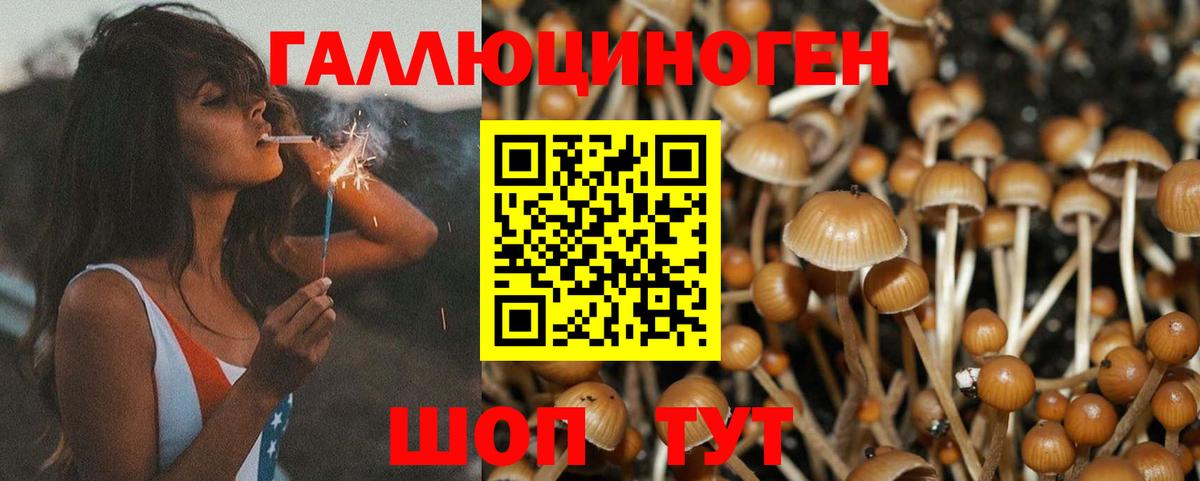 Псилоцибиновые грибы мицелий Мариинск